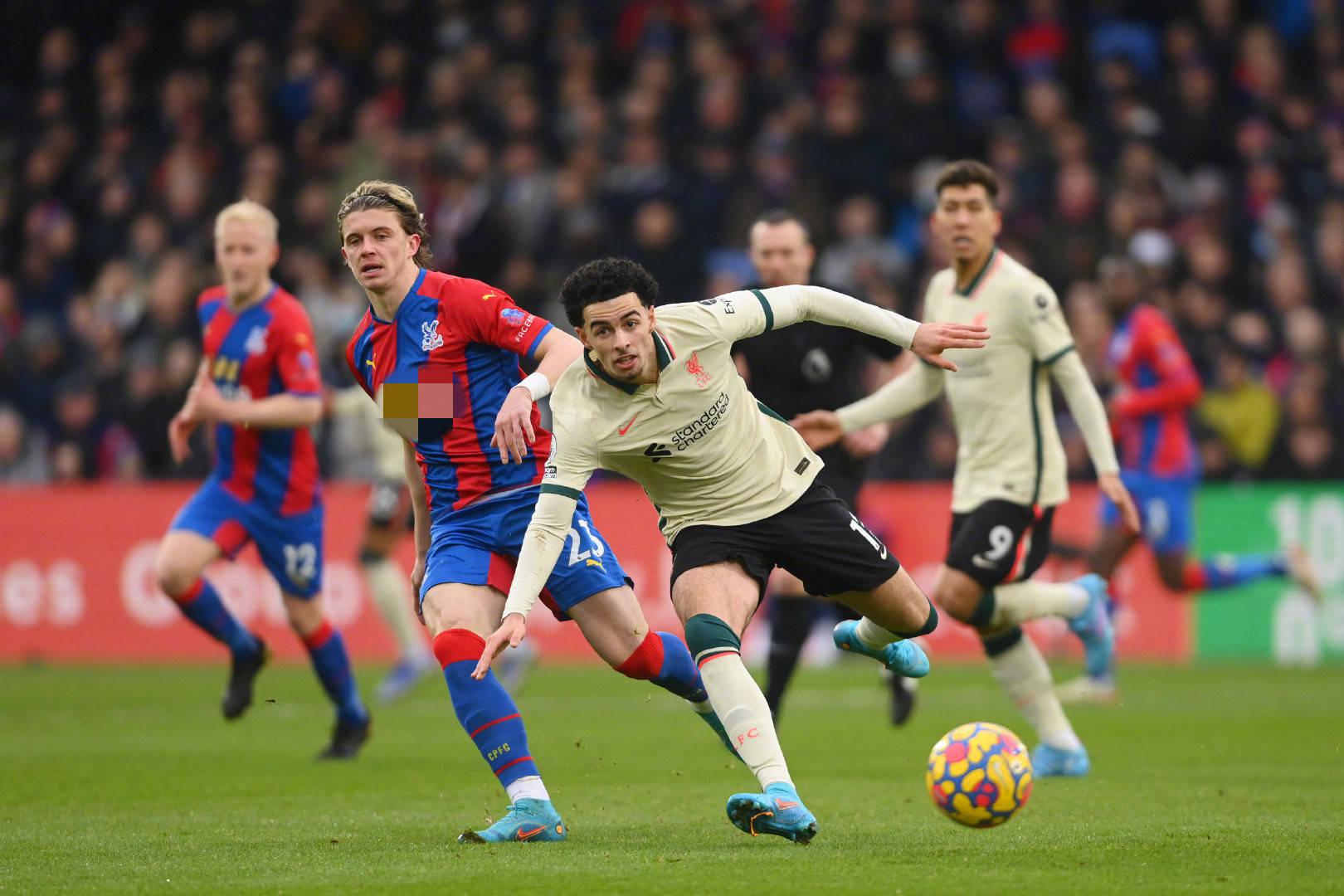 场的竞争力 场的竞争力