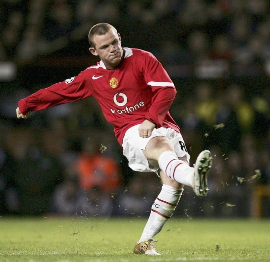 生则将羽毛 生则将羽毛